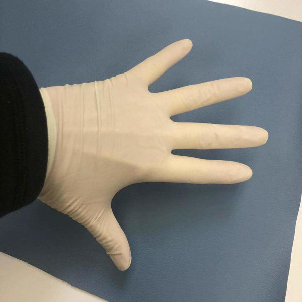 Picture of Latex Examination GlovesPowder Free