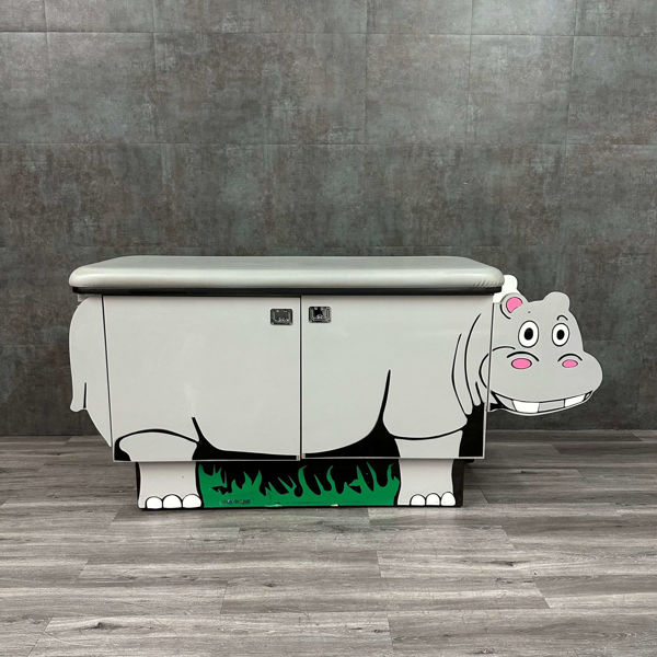 Picture of GoodTime Medical Hippo Exam Table
