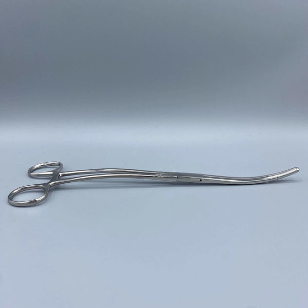 Picture of Crown Bozeman Uterine Dressing Forceps Curved