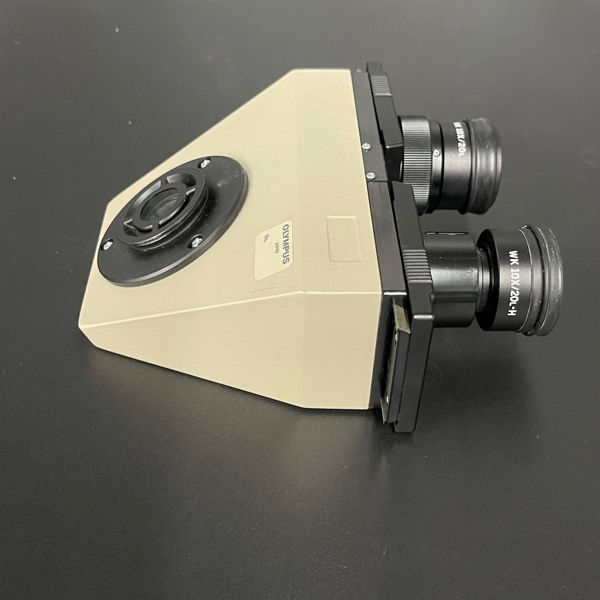 Picture of Olympus Binocular Microscope Head (Used)